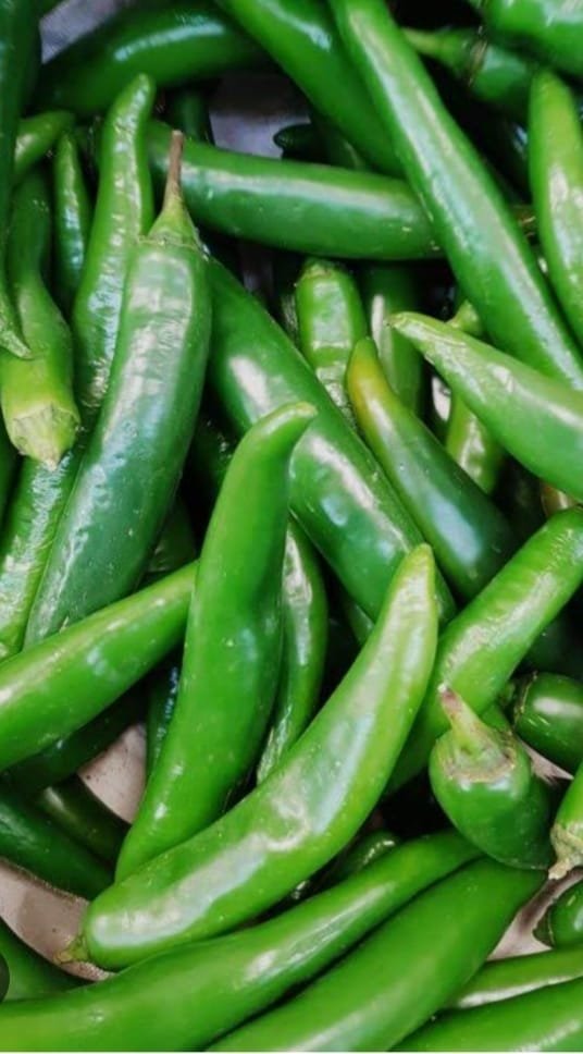 Guindillas