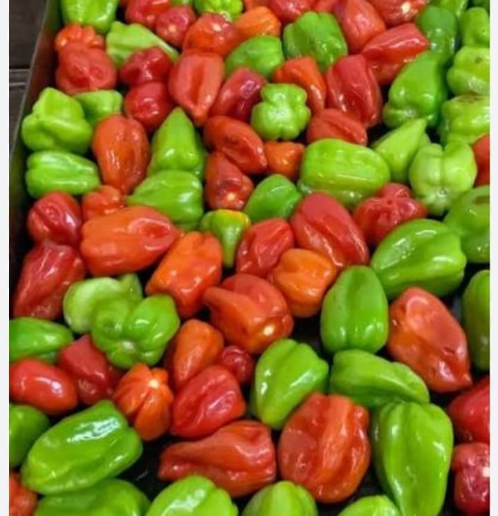 Habaneros