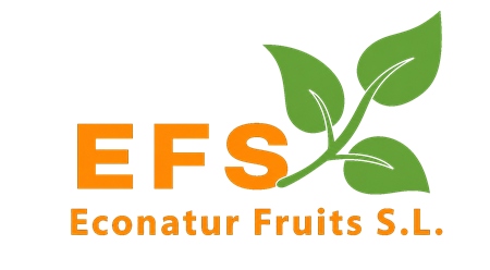 Econatur Fruits S.L — Frescura y Calidad