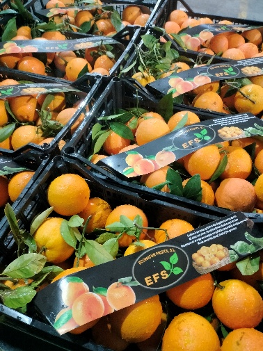 Mercados y Supermercados