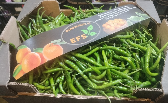 Mercados y Supermercados