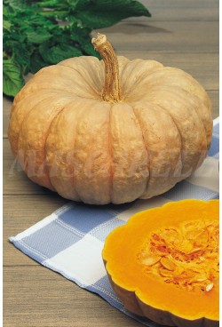 Calabaza dulce de horno
