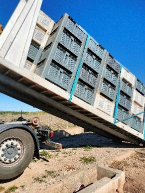 Compra-venta al por mayor