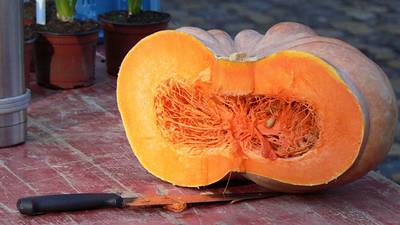 Calabaza dulce de horno